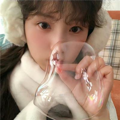 企鹅之岛：福克兰